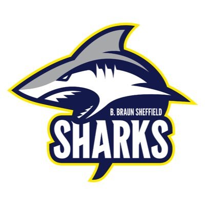 B  Braun Sheffield Sharks